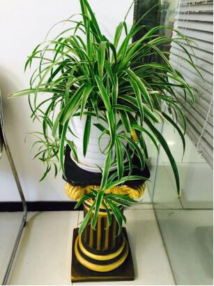 这样真的美吧？