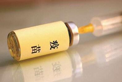 疫苗事件突破道德底线 ,金易贴金专注贴金20年，倾情为民