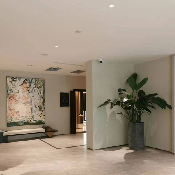 艺术漆案例展示